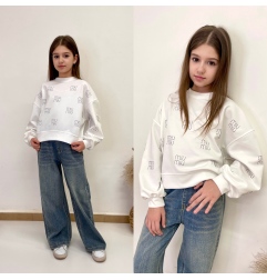 Ніжний світшот